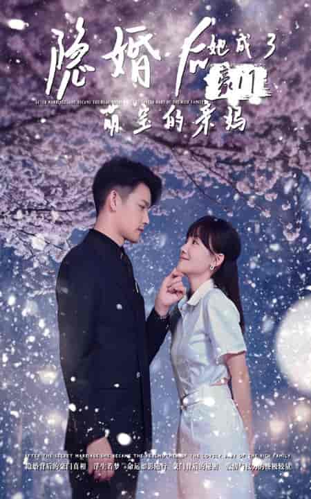 隐婚后，她成了豪门萌宝的亲妈（69集全） - 傲图好剧