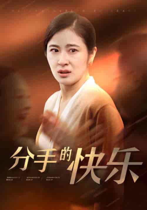 分手的快乐（66集全）钟北海＆何金玉 - 傲图好剧