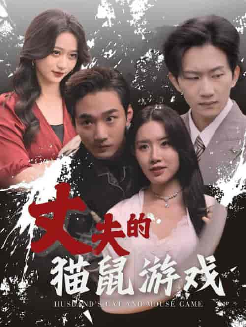 丈夫的猫鼠游戏（30集全） - 傲图好剧