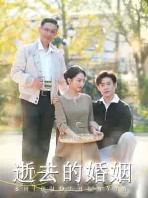逝去的婚姻（60集全）孔莹莹 - 傲图好剧