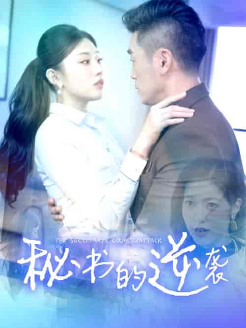 秘书的逆袭（50集全）擦边剧 - 傲图好剧