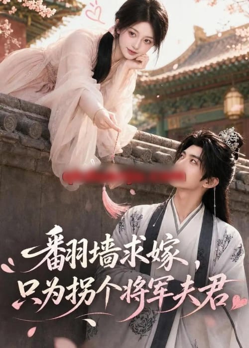 翻墙求嫁，只为拐个将军夫君（50集全）AI短剧