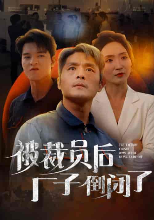 被裁员后厂子倒闭了（60集全）董正业＆秦玉瑶 - 傲图好剧