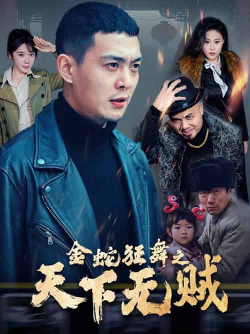金蛇狂舞之天下无贼（52集全）钱谦 - 傲图好剧