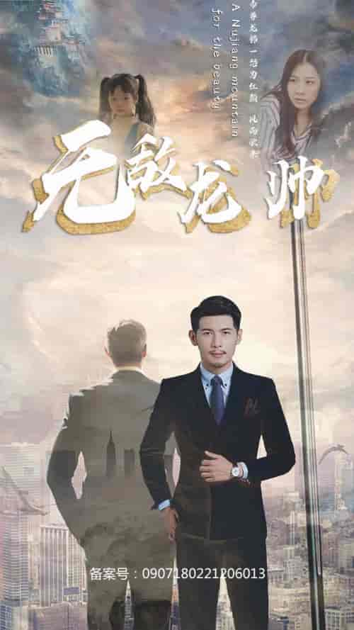 无敌龙帅（100集） - 傲图好剧