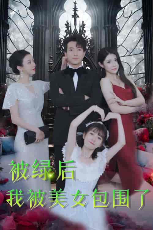 被绿后我被美女包围了（97集） - 傲图好剧