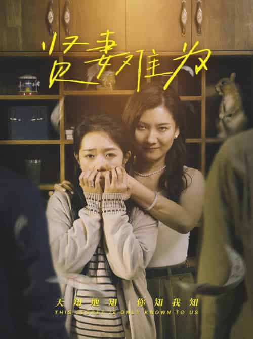 贤妻难为（30集全）张文静＆罗央央 - 傲图好剧