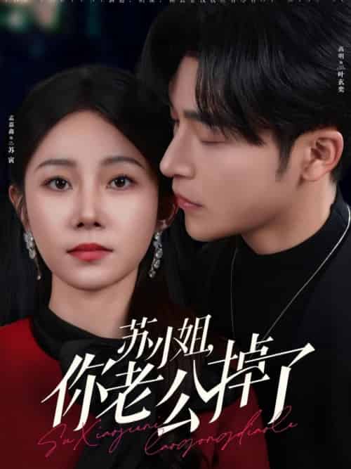 苏小姐你老公掉了（80集全）常高明＆孟嘉鑫 - 傲图好剧