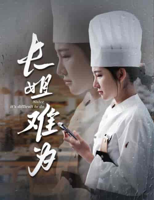 长姐难为（60集全）喻嘉琳 乐瑶 - 傲图好剧