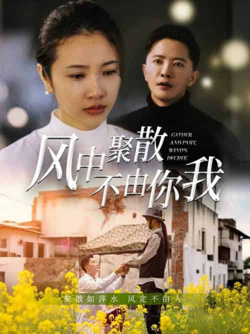 风中聚散不由你我（41集全）焦娜＆周湉羽 - 傲图好剧