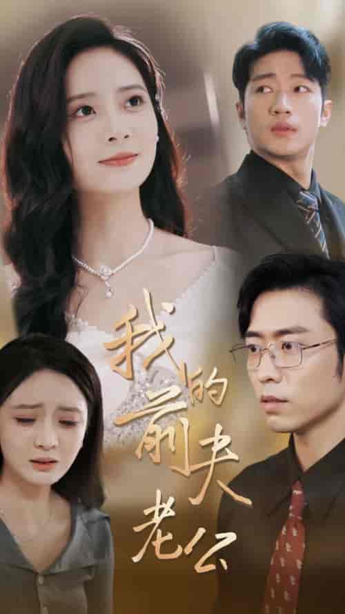 我的前夫老公（70集全）曹天恺＆刘美娜 - 傲图好剧