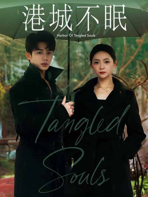 港城不眠（87集全）李子杰＆许丹 - 傲图好剧
