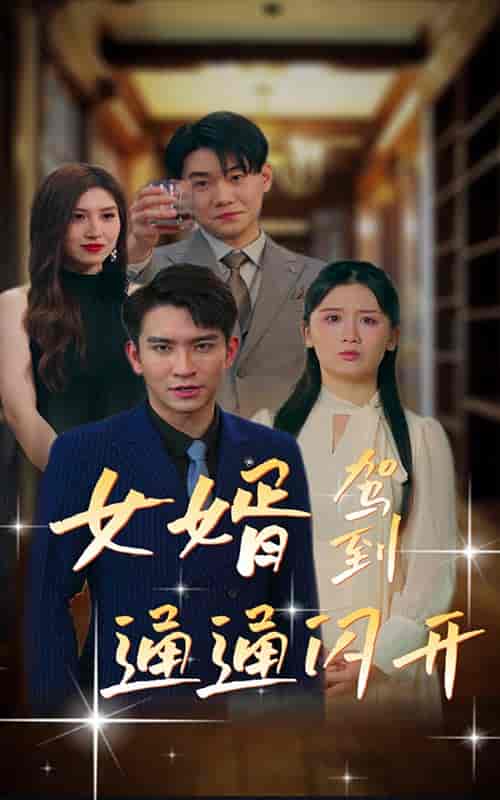 女婿驾到，通通闪开（34集） - 傲图好剧