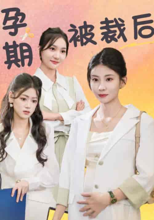 孕期被裁后（30集全）谢桓＆温情 - 傲图好剧