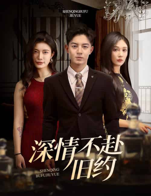 深情不赴旧约（50集全）刘月涛＆党孟宇＆宗白铧 - 傲图好剧