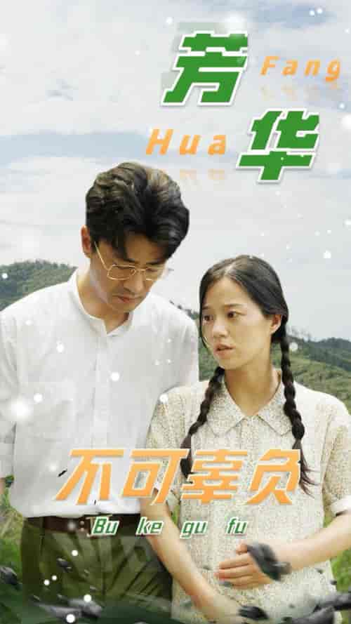 芳华不可辜负（36集全） - 傲图好剧