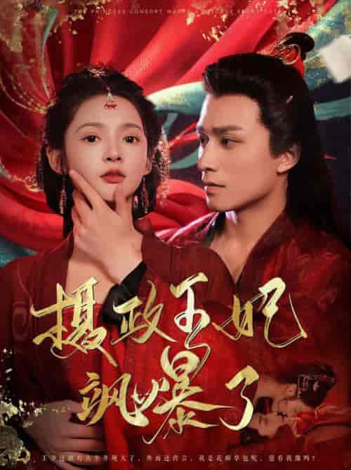 摄政王妃飒爆了（99集全） 觅七＆王皓祯 - 傲图好剧