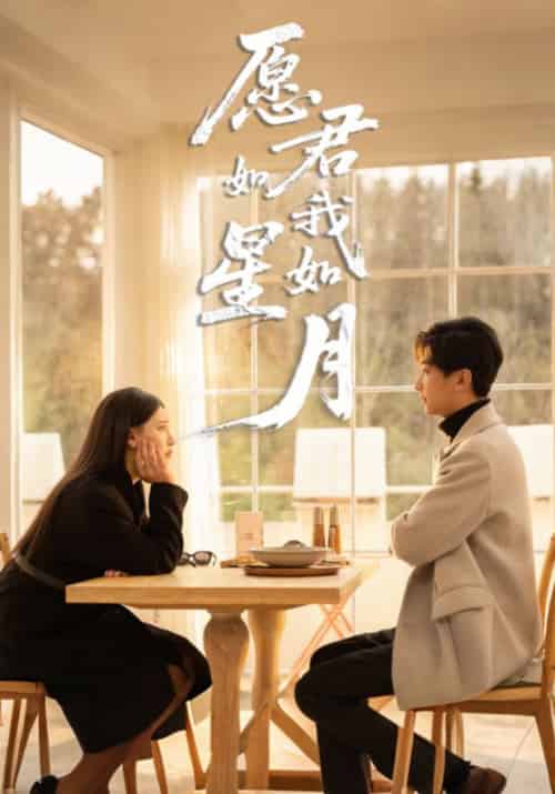 愿君如星我如月 愿君如星我如月