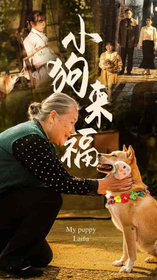 小狗来福（30集全） - 傲图好剧