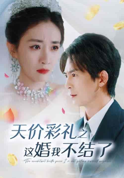 天价彩礼之这婚我不结了（32集全）邰靖懿 - 傲图好剧