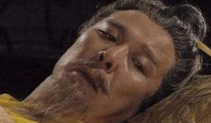 刘备最终死于白帝城，那诸葛亮到底支不支持刘备东征？