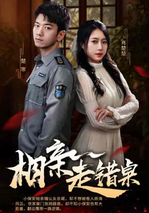 相亲走错桌（88集全）楚寒＆肖楚楚 - 傲图好剧