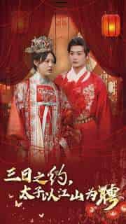 三日之约太子以江山为聘（30集全）徐涵琳 - 傲图好剧