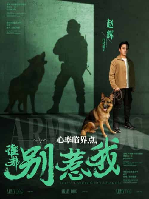 心率临界点谁都别惹我（96集全）晁轩＆杨晴＆王佳琪 - 傲图好剧