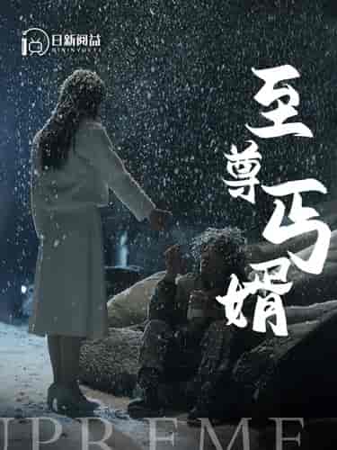 至尊丐婿 至尊丐婿