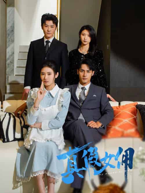 真假女佣（56集全）潘子剑＆申芳赫 - 傲图好剧