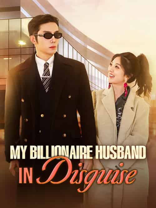 My Billionaire Husband in Disguise My Billionaire Husband in Disguise