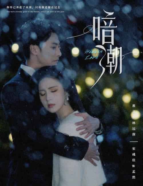 暗潮（58集全）淮文＆宋彧佳＆李兼任＆＆蹇代莉 - 傲图好剧