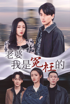 老婆我是冤枉的（31集全） - 傲图好剧