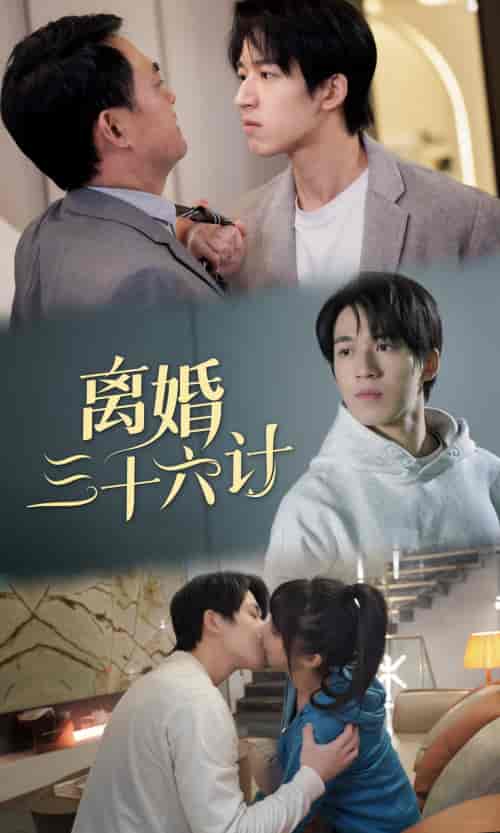 离婚三十六计（96集） - 傲图好剧