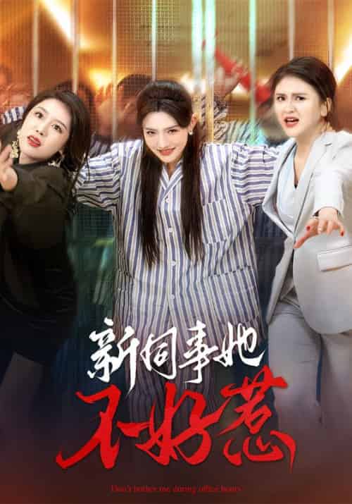 新同事她不好惹（37集全）常丹丹＆钟莹玲 - 傲图好剧