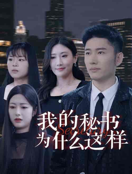 我的秘书为什么这样（94集全） - 傲图好剧
