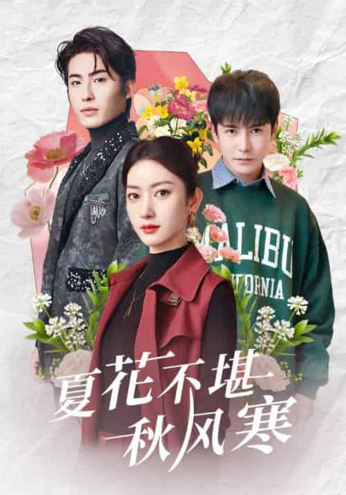 夏花不堪秋风寒（79集全）张玉娇＆李子峰 - 傲图好剧