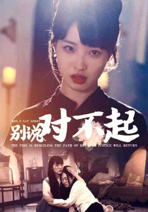 别说对不起（35集全） - 傲图好剧