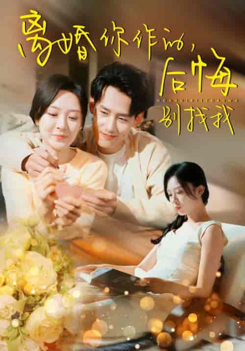 离婚你作的后悔别找我（30集全）程琳淼 - 傲图好剧