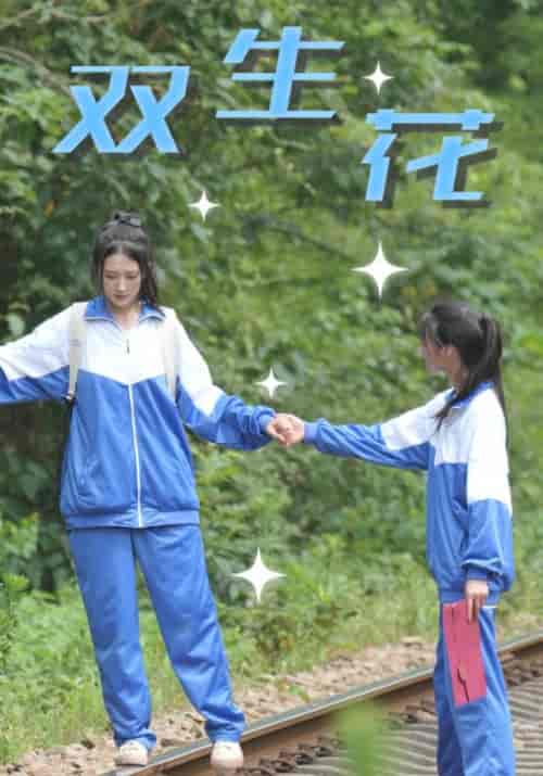 双生花需改名（36集全）王凯＆陈北月 - 傲图好剧
