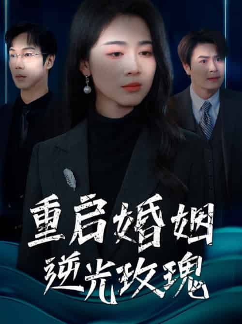 重启婚姻逆光玫瑰（40集全） - 傲图好剧