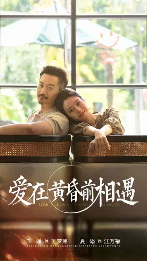 爱在黄昏前相遇（65集） - 傲图好剧