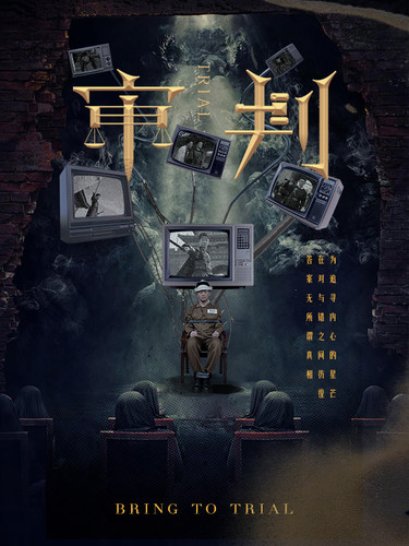 审判（94集） - 傲图好剧
