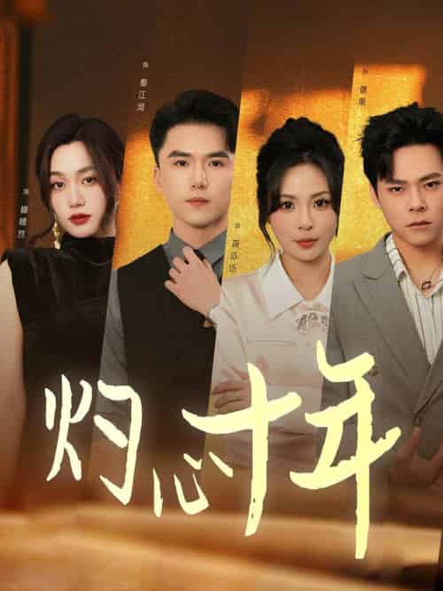 灼心十年（50集全） - 傲图好剧