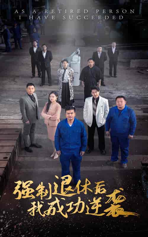 强制退休后，我成功逆袭（54集全） - 傲图好剧