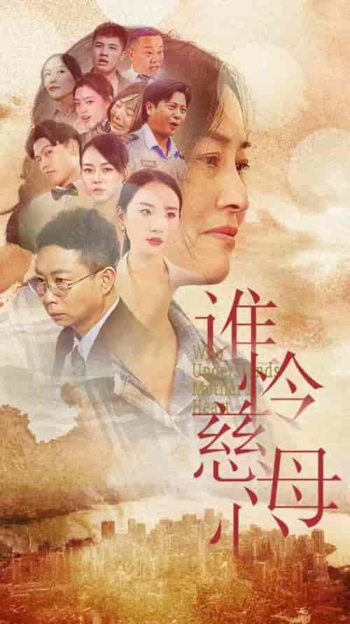 谁怜慈母心（46集全） - 傲图好剧
