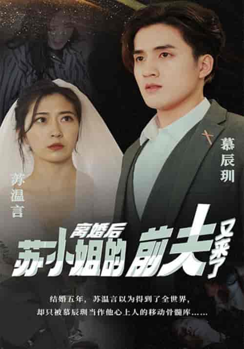 离婚后,苏小姐的前夫又来了 离婚后,苏小姐的前夫又来了