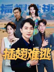 插翅难逃（43集） - 傲图好剧