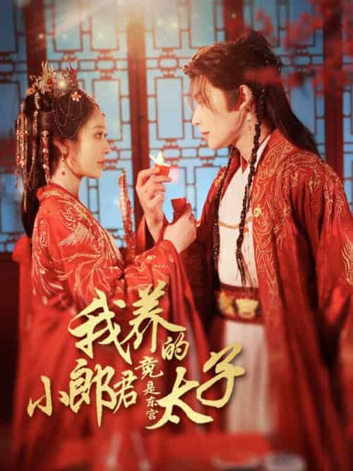 我养的小郎君竟是东宫太子＆卿与天争娇（104集）戴琪轩＆申浩男 - 傲图好剧