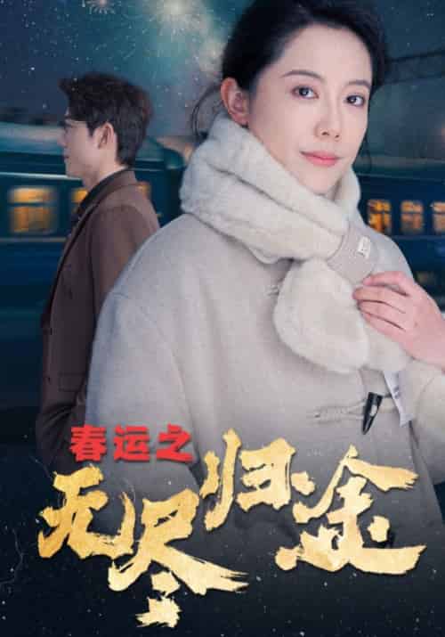 春运之无尽归途（49集） - 傲图好剧